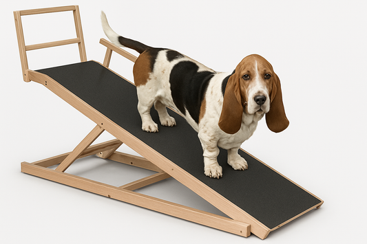 Premium Dog Ramp